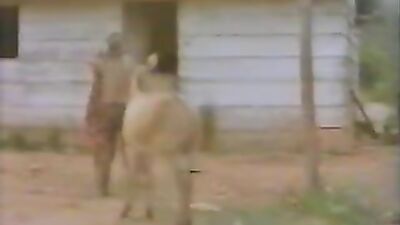 Bestiality sex: furry porn animal crossing