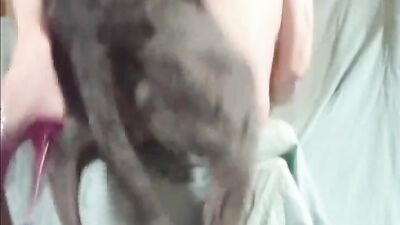 Dog lick girl: bestiality kiss