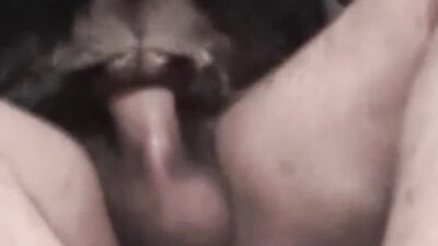 Zoo fuck porn: hentai girl and dog