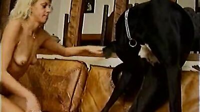 Art of zoo porno: zoo tube videos