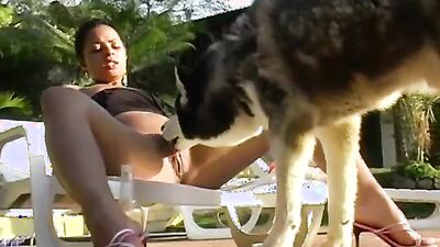 Dog sex: hentai dog porn