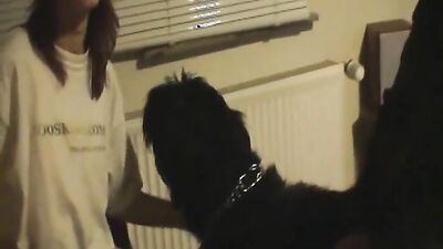Mimi dog porn: dog fucks girl home alone