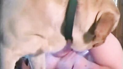 Dog girl 1: bestiality russian