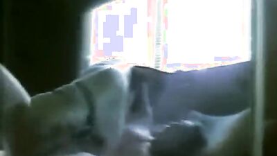 Zoo dog porn: zoo sex 2