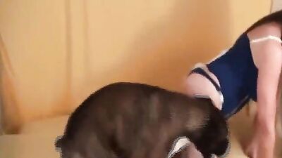Bestiality zoo: dog lovers sex
