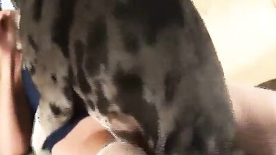Bestiality zoo: dog lovers sex