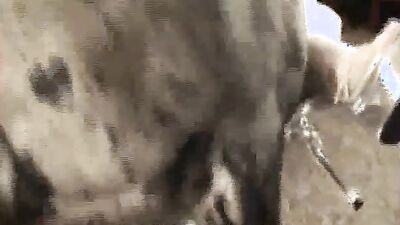 Bestiality zoo: dog lovers sex