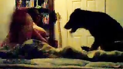 Animal sex: watch porn movies with animals