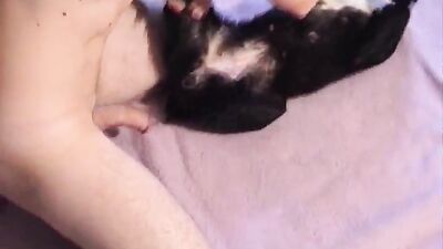 3d dog porn: zoo porn her first knot