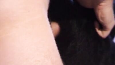 3d dog porn: zoo porn her first knot