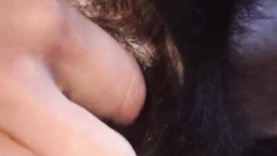 Zoo porn: silesto zoo video