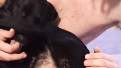Zoo porn: silesto zoo video