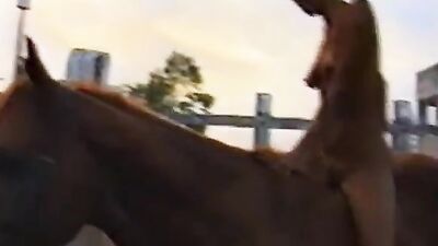 Dog porn: zoo porno sex anal