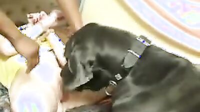 Zoophilia porn: zoo porn bestiality sex