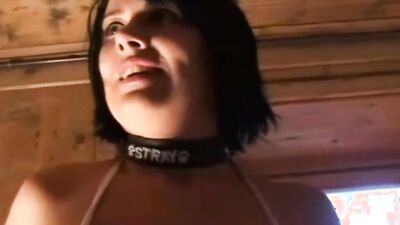 Bestiality horse: girl dog webcam porno