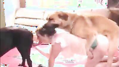 Art of zoo porn: dog ride porn