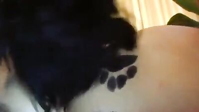 Dog girl anal: goat sheep man zoo porn
