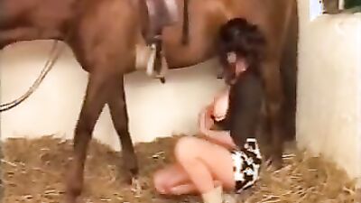 Dog girl: zoo sex ts