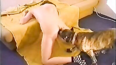 Bestiality sex: porno dogs porn