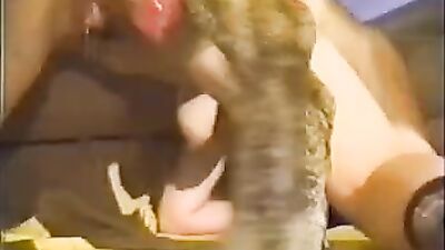 Bestiality sex: porno dogs porn