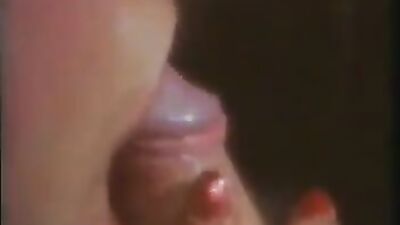 3d dog sex: vixen sex dog