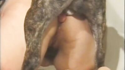 Zoophilia porno: secret sex with an animal intimate