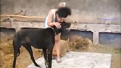 Bestiality video: teen has sex with dog