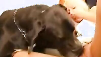 Teen zoo porn: zoo sex game