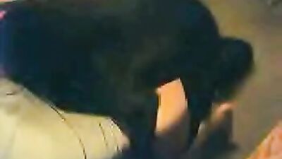 Dog pussy girls: dog cum in girl