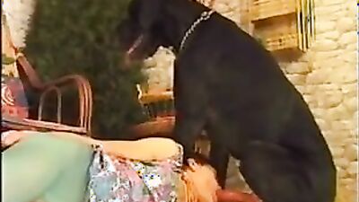 Zoo horse porn: young girl webcam dog