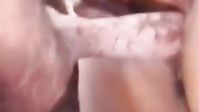 Porn bestiality: team russia zoo sex