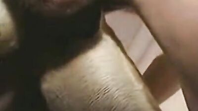 Porn bestiality: comics porno dog fuck girl