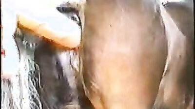 Teen dog sex: video karte mexico zoo