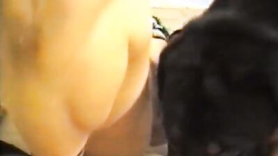 Zoo porn man: silesto dog sex nude