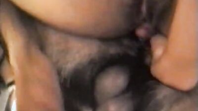 Zoo porn man: silesto dog sex nude