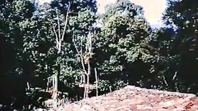 Bestiality games: sex dog pornholocaust compornhub com