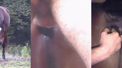 Dog fucking girl: zoofilia zoo sex
