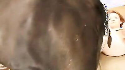 Mimi dog porn: dog sex free porn