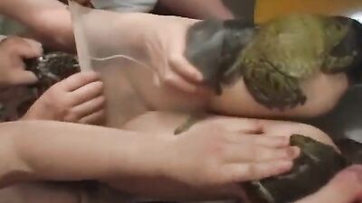 Zoo porn girls: girls sucking dogs cocks