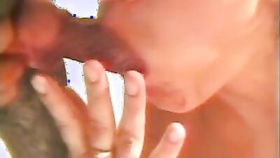 Zoo dog porn: zoo porn torrents download