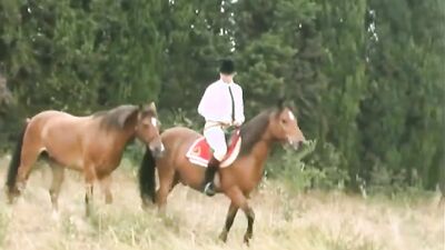 Bestiality xxx: animal porn 34