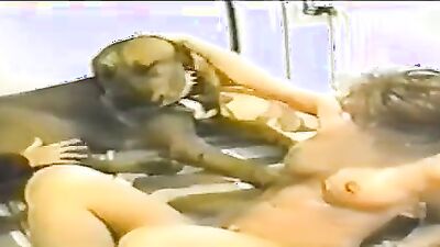 Dog porn: www animal net porno