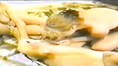 Dog porn: www animal net porno