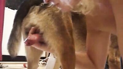 Zoo porn video: uploaded by bestiality