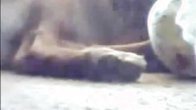 Zoo sex porno: extreme animals sex