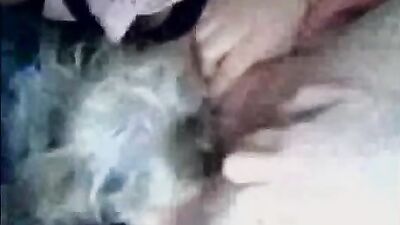 Zoo video: reven zoo porn