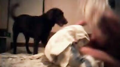 Girl dog video: porn turtle zoo