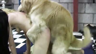 Animal porn: bestiality ai porno