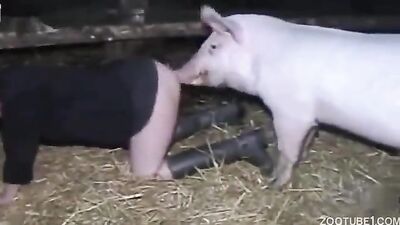 Dog sex: sonya animal porn