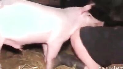 Dog sex: sonya animal porn